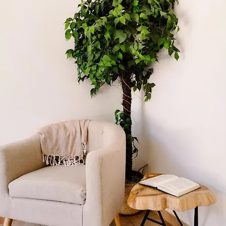 住宿加早餐酒店 Maison San Giovanni