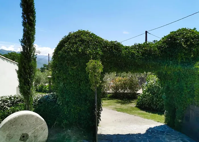 Alojamento de Acomodação e Pequeno-almoço Maison San Giovanni Corte (Corsica)