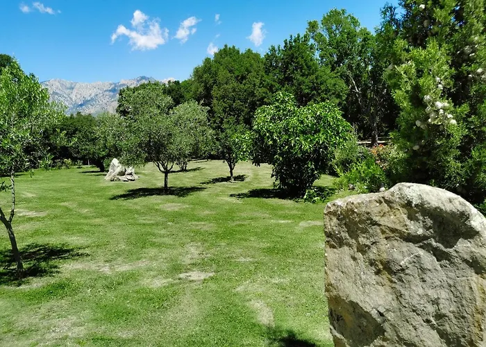 Maison San Giovanni Bed & Breakfast