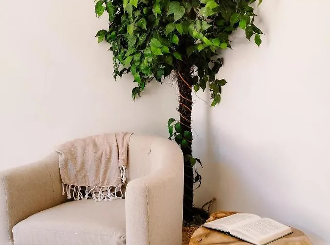 Bed & Breakfast Maison San Giovanni