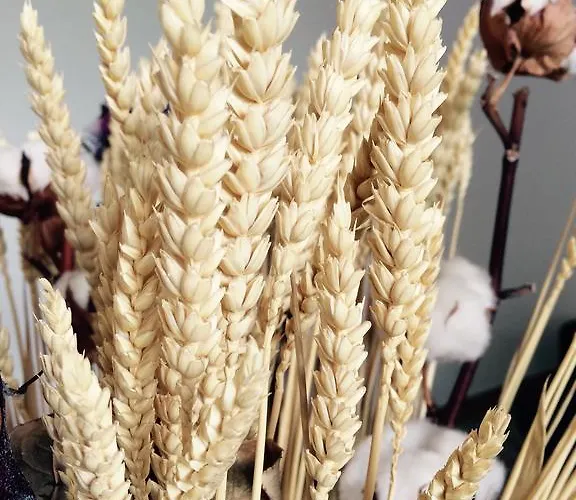 Maison San Giovanni 3*